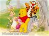 Winnie-De-Pooh.jpg